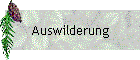 Auswilderung