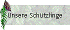 Unsere Sch�tzlinge